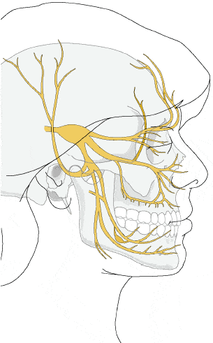 Controlling the Pain - Dimensions of Dental Hygiene