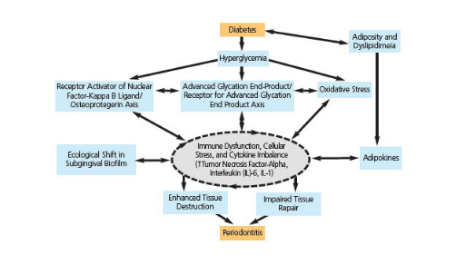 Diabetes Network