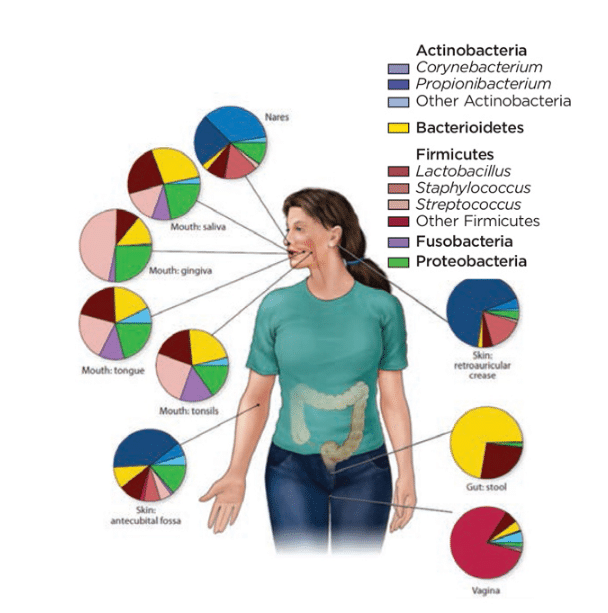 Systemic Health