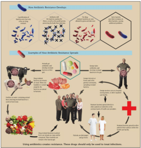 Antibiotic Resistance Threats