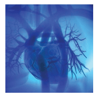 oral/systemic link