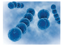 Industry Info story on Therapeutic