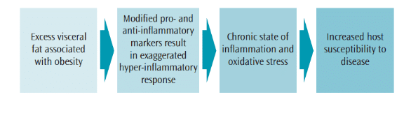 The Relationship Between Obesity and Periodontal Diseases