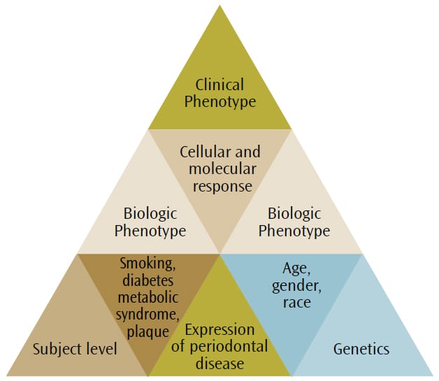 Periodontal disease management