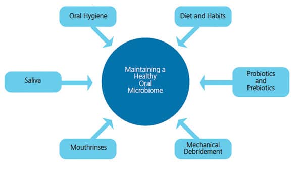 Factors to maintain healthy oral microbiome