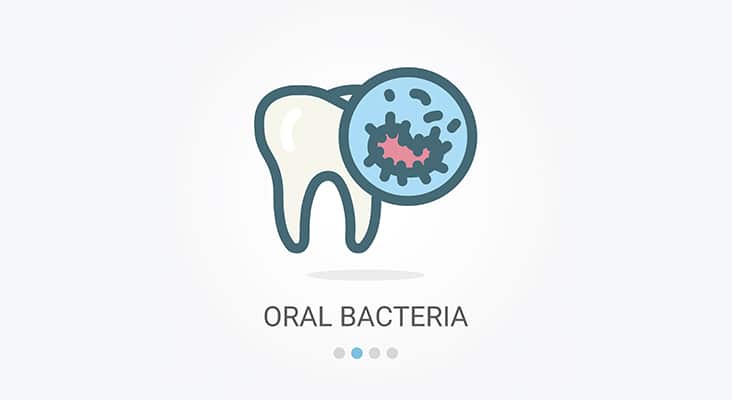 Oral Bacteria Vector