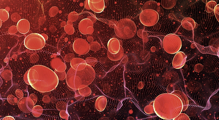 red blood cells graphic