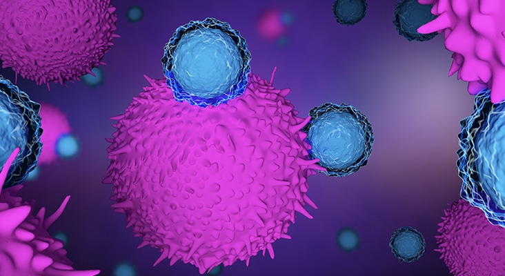 t cells attacking