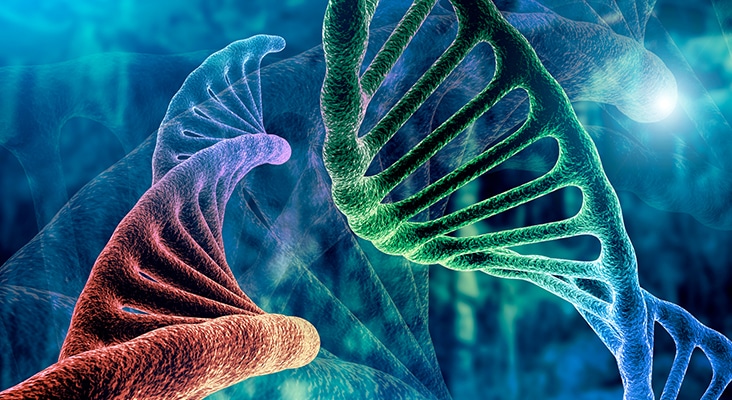 DNA strand graphic