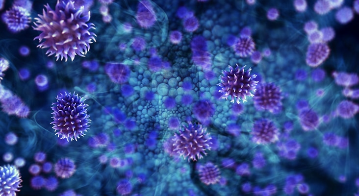 A conceptual 3D render of a flow of purple virus cells in a magnified organic environment.