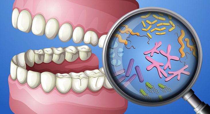 A Close-up Oral Bacteria illustration