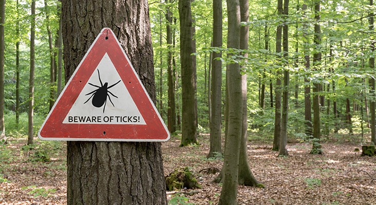 Lyme Disease and Oral Health - Dimensions of Dental Hygiene