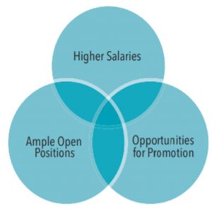 Career attributes for a dental hygienist