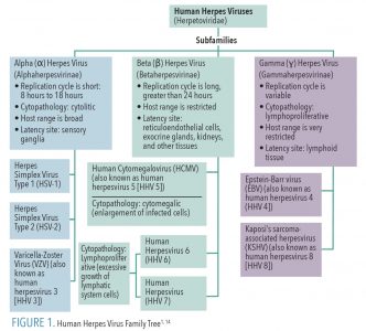Preventing the Spread of Herpes Simplex Type 1 - Dimensions of Dental ...
