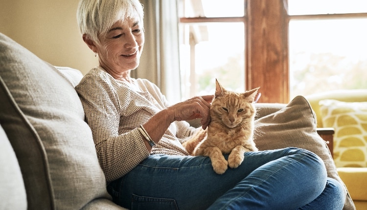 Cropped shot of a happy senior woman sitting alone and petting her cat during a day at home