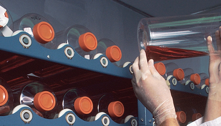 Monoclonal Antibodies and Their Impact on Oral Healthcare