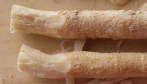 The Use of Miswak to Improve Oral Health Outcomes