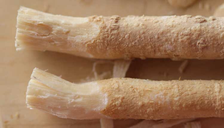 The Use of Miswak to Improve Oral Health Outcomes