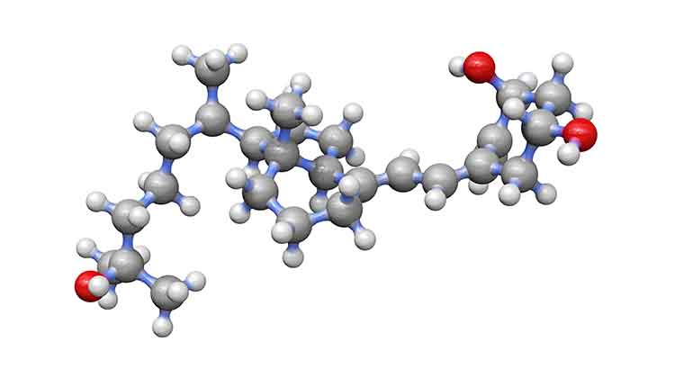 vitamin d molecule