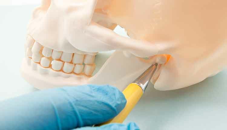 Temporomandibular joint (TMJ, joint of the lower jaw) and the ear canal. The physician indicates on the mandibular joint or human ear bone canal as the source of the symptom, pain or illness