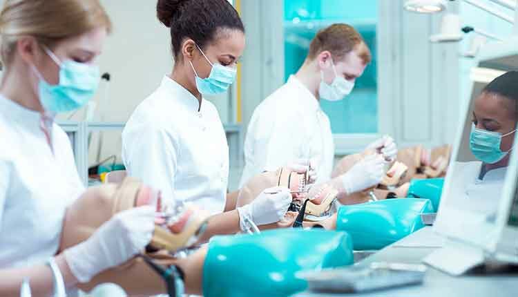 Busy medicine students on classes