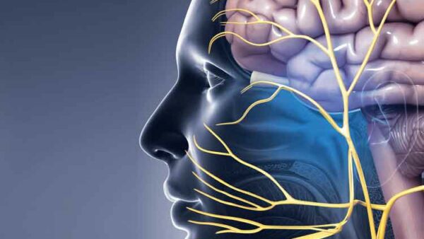 Graphic of the human brain and nerves in mouth