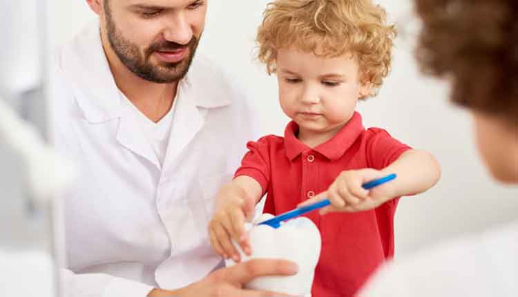 Portrait of handsome dentist teaching adorable curly boy how to brush teeth, using big tooth model