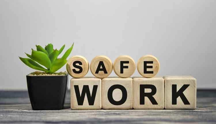 SAFE WORK - text on wooden cubes, green plant in black pot on a wooden background