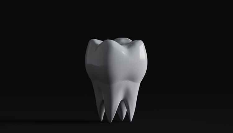 3d tooth