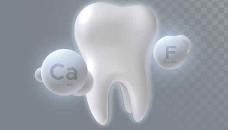 3d tooth with Ca and F symbols