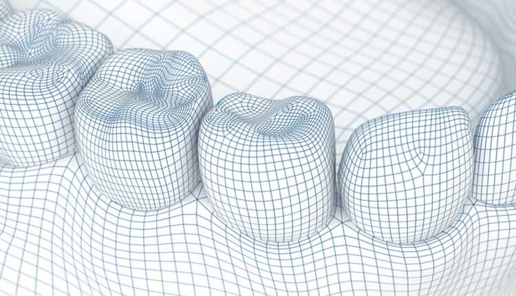Mouth gum and teeth. Wire 3d model illustration