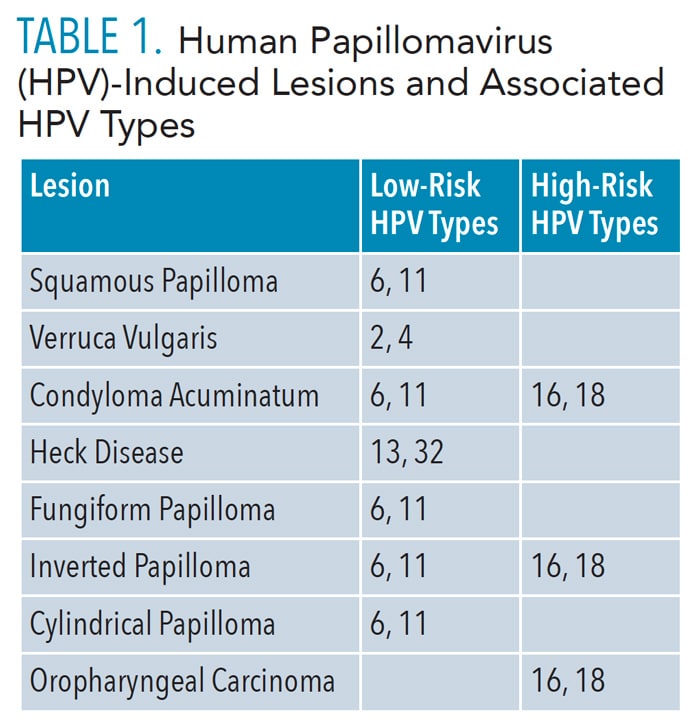 Verruca Plana Hpv Type