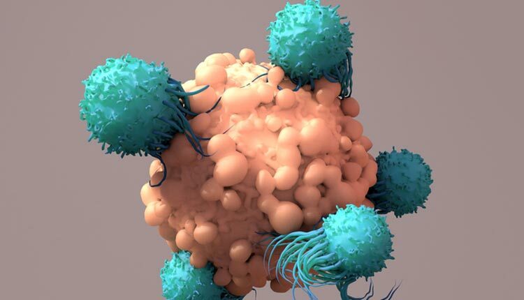 T-Cells Work to Fight Cancer, Immunotherapy, CAR T-cell therapy, 3d renderin