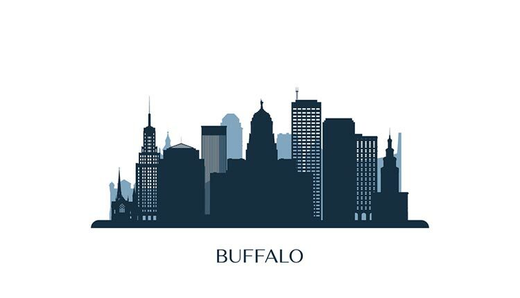 buffalo