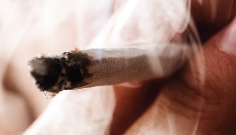 cannabis