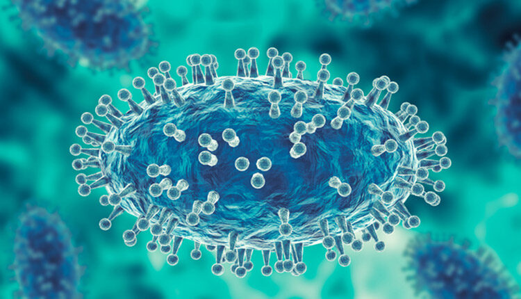 Monkeypox virus is a smallpox-like viral infection transmitted from animals to humans