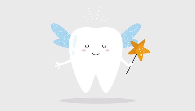 tooth fairy illustration