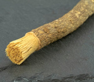 FIGURE 1. A miswak, or stick harvested from a tree, may be used by individuals from the Horn of Africa, Middle East, and South Asia to remove plaque biofilm from their teeth.