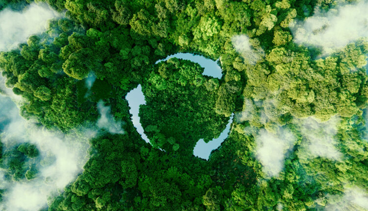 Abstract icon representing the ecological call to recycle and reuse in the form of a pond with a recycling symbol in the middle of a beautiful untouched jungle. 3d rendering.