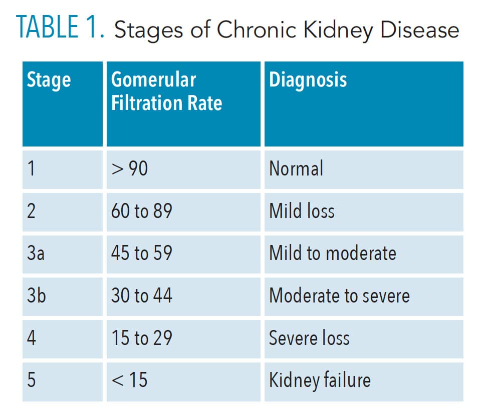 Insight Into Chronic Kidney Disease Dimensions Of Dental Hygiene