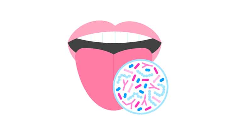 - stock illustration