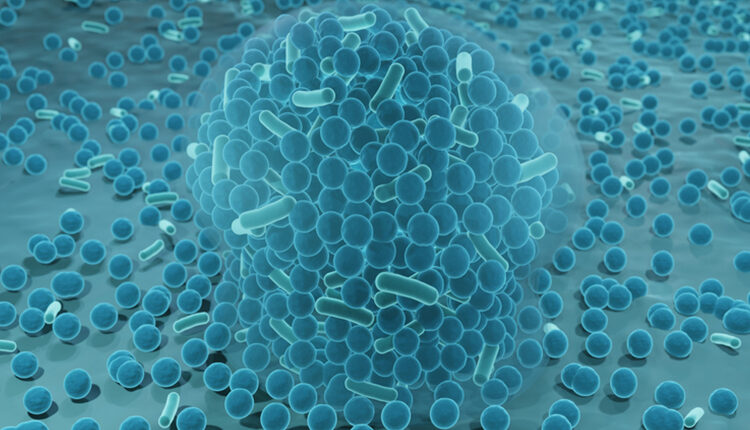 Bacteria in a biofilm 3d illustration