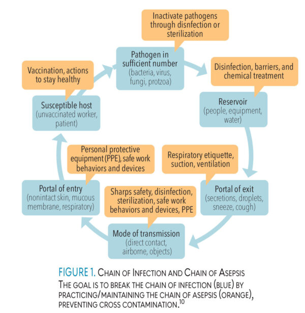 Best Practices for Disinfection and Asepsis in Radiographic Procedures
