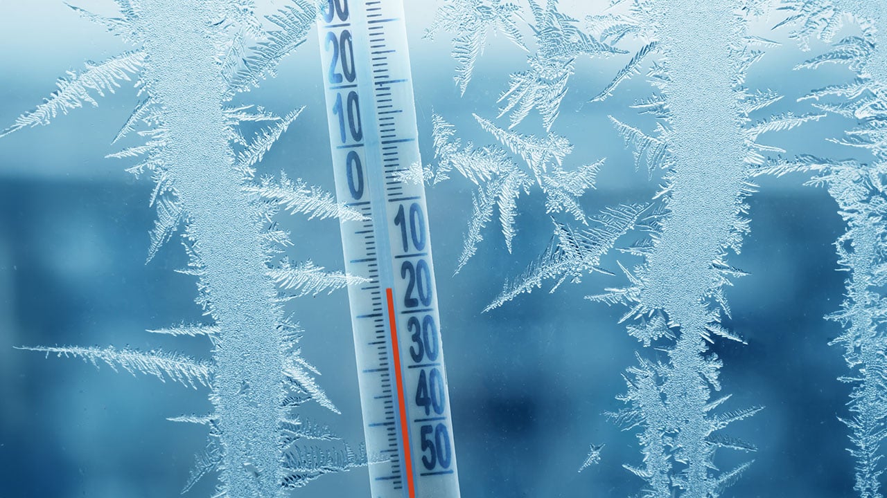 What Oral Health Professionals Need to Know About Cold Agglutinin ...