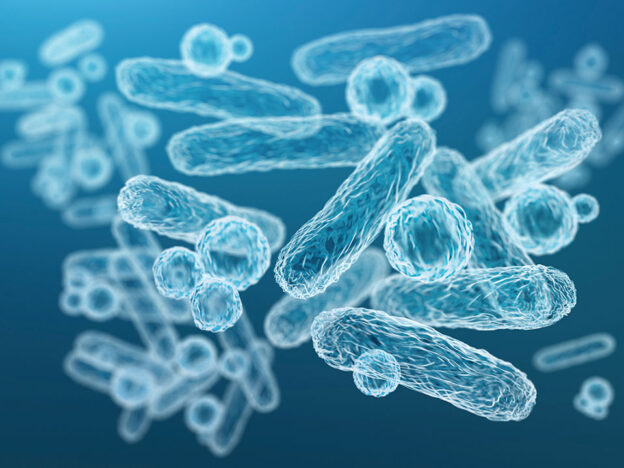 Where Cancer Care Meets the Mouth course image