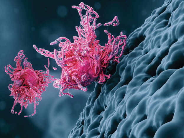 Blood Clots Can’t Be Ignored in the Dental Chair course image