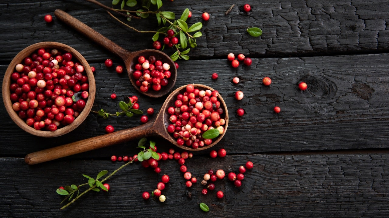 Red cranberries in a bowl with scattered berries on a dark wooden table