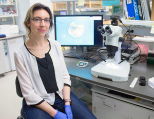 Nevi Group Nevi Group