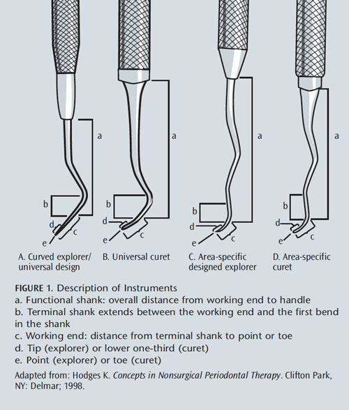 A Close Up Look At Explorers Dimensions Of Dental Hygiene